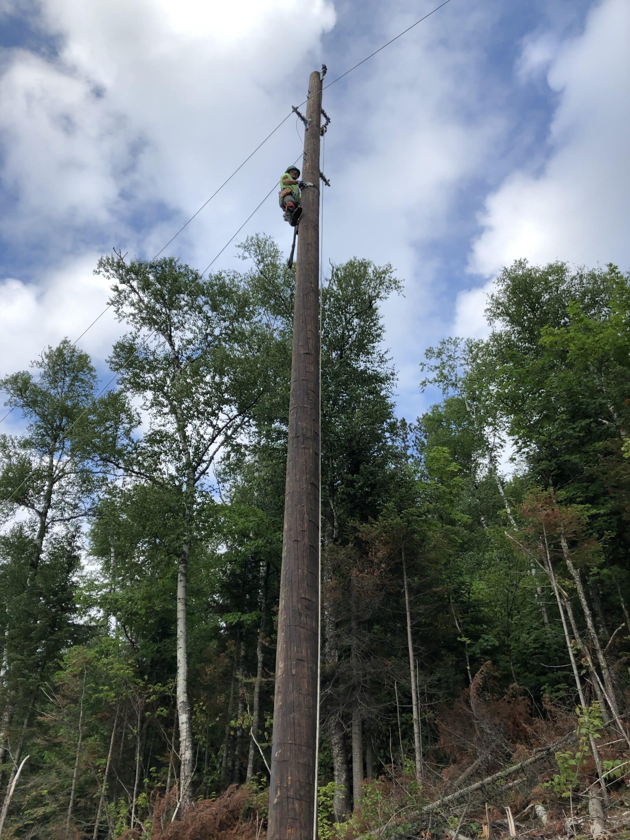 Person working up high on an electrical pole with trees in the background